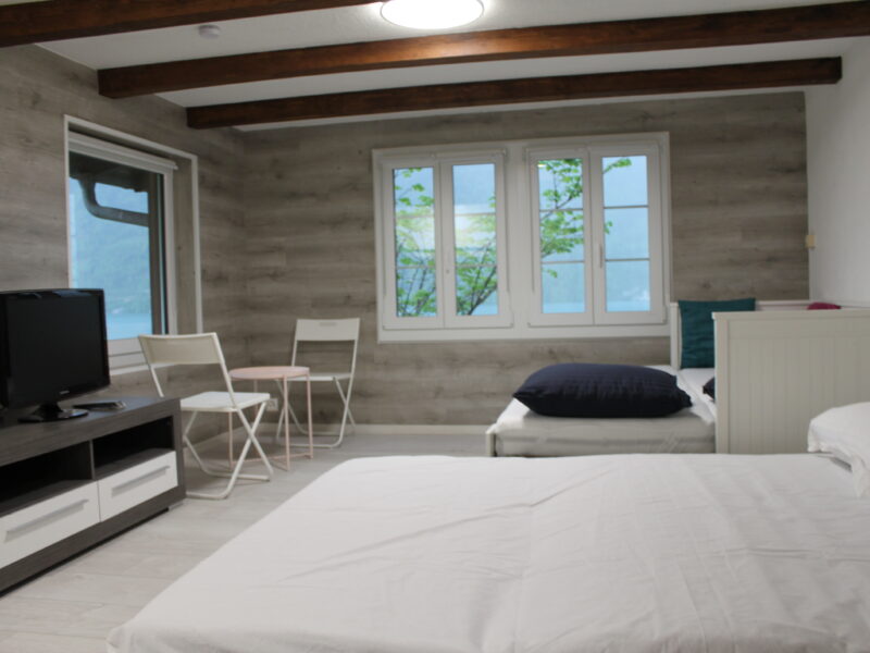 Apartment near Interlaken
